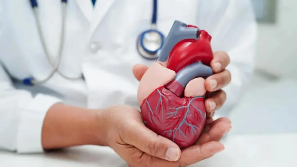 Män löper större risk för hjärtproblem – därför bör du agera redan vid 30