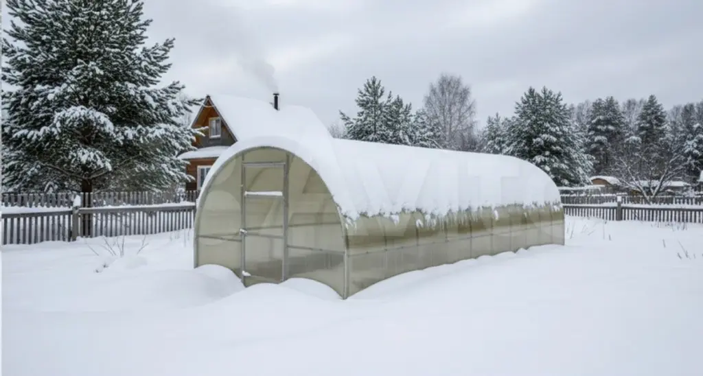 Byxor för snörens spår: Så här rengör du ditt växthus – utan repor