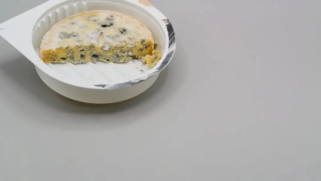 Glöm mögliga matlådor: Så rengör du plastbehållare som ett proffs