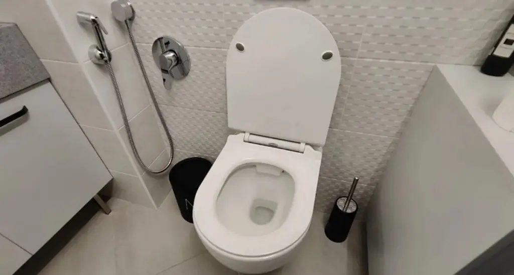 Renare toalett på nolltid: hemligheten med 3 skedar och 2 glas