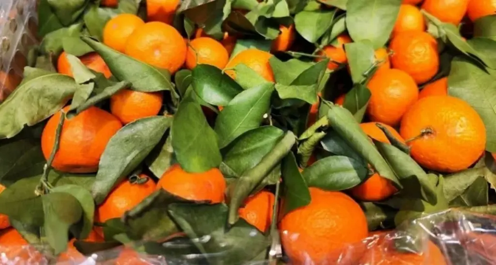 Sluta köpa sura mandariner: experttipsen som lurar säljarna