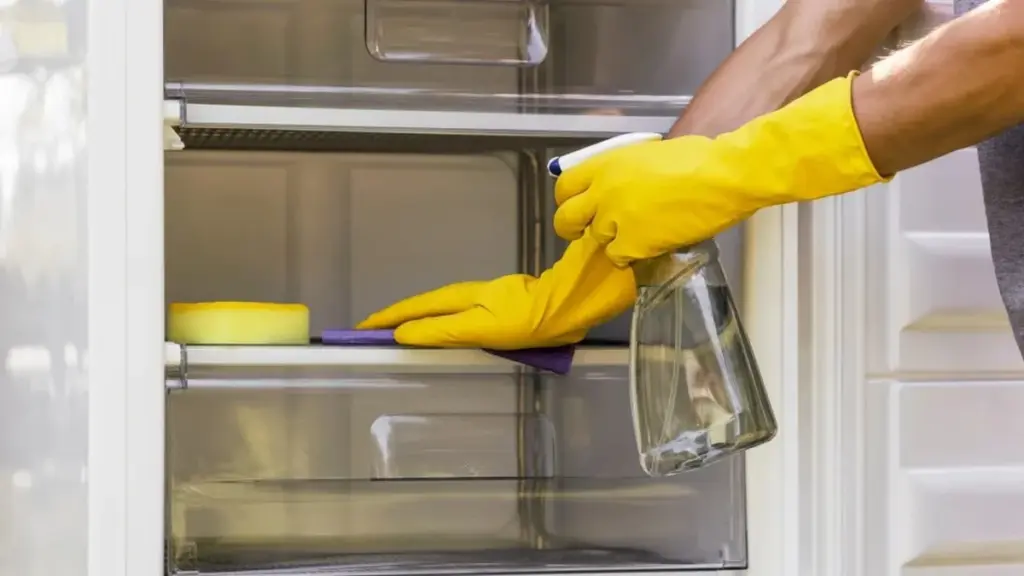 Sparkling Clean Fridge: The Apple Peel & Soda Water Hack You Need