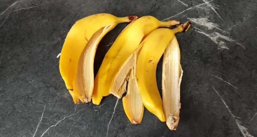 Strö salt på bananskal – hela vintern njuter jag av min smarthet