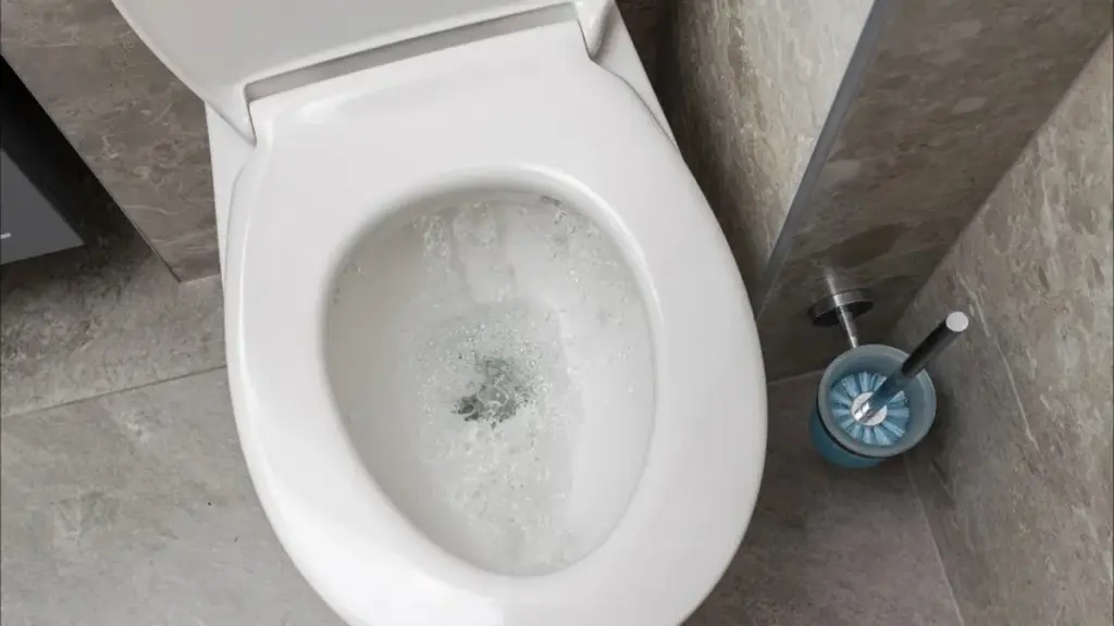 Undvik stora problem! 11 saker du aldrig ska spola ner i toaletten