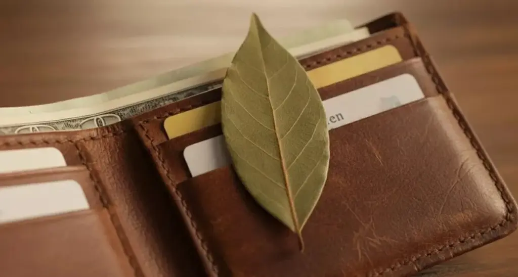 Varför mormor alltid la ett lagerblad i plånboken – nu gör jag det med 3 viktiga skäl